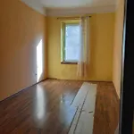 Business And Pleasure Apartment With Air Condition